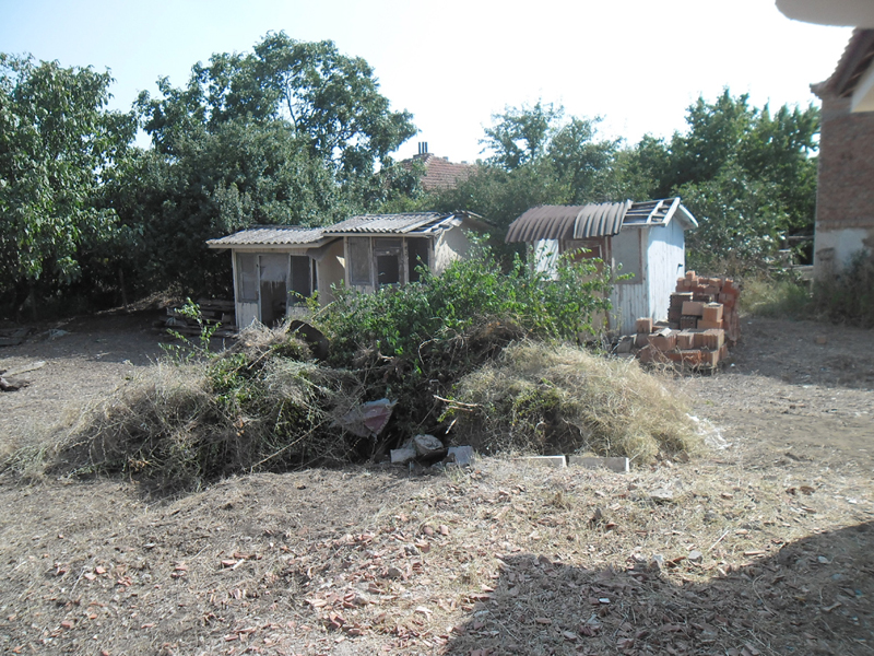 Sheds in rear garden
