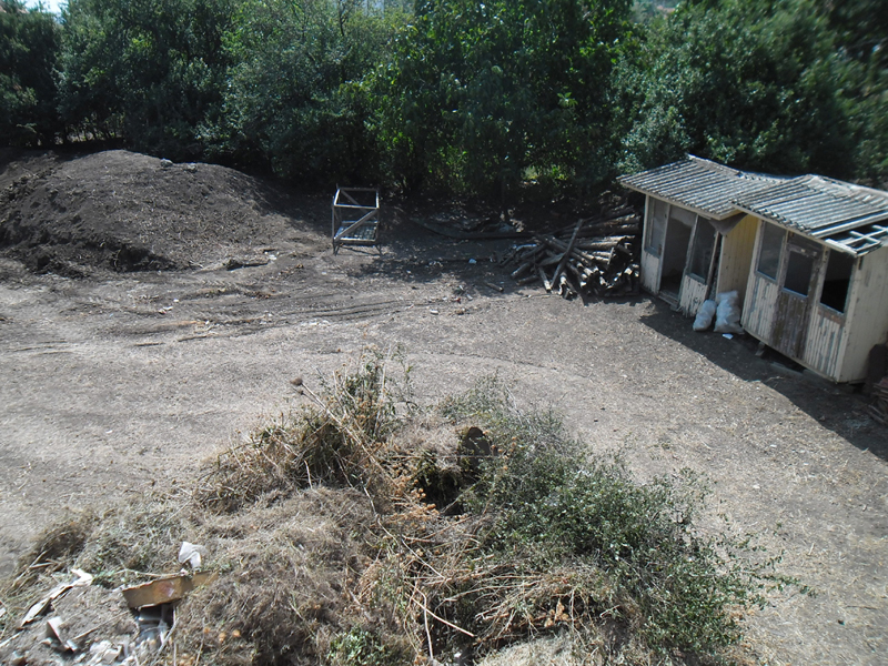 Rear garden and sheds